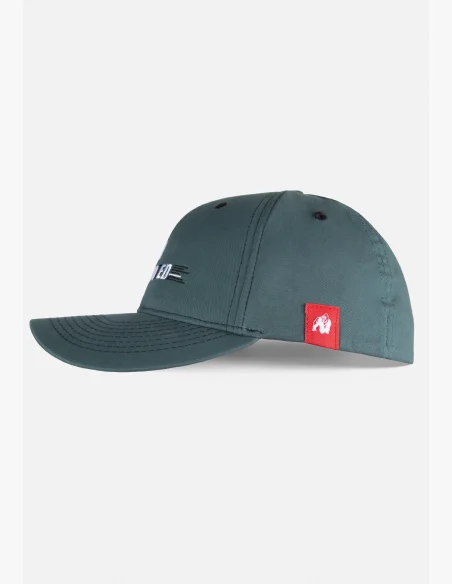 Gorilla Wear cap Hays Flexfit petrol