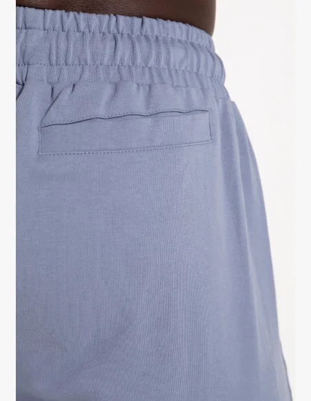 Gorilla Wear men's shorts Lopez – purple blue